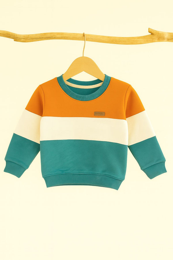 Boys panel sweatshirt